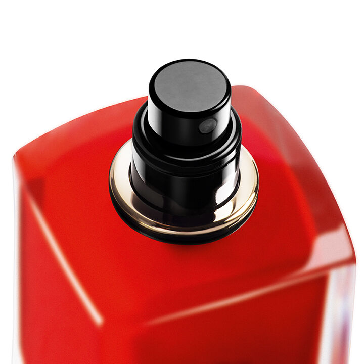 Giorgio armani hair mist top